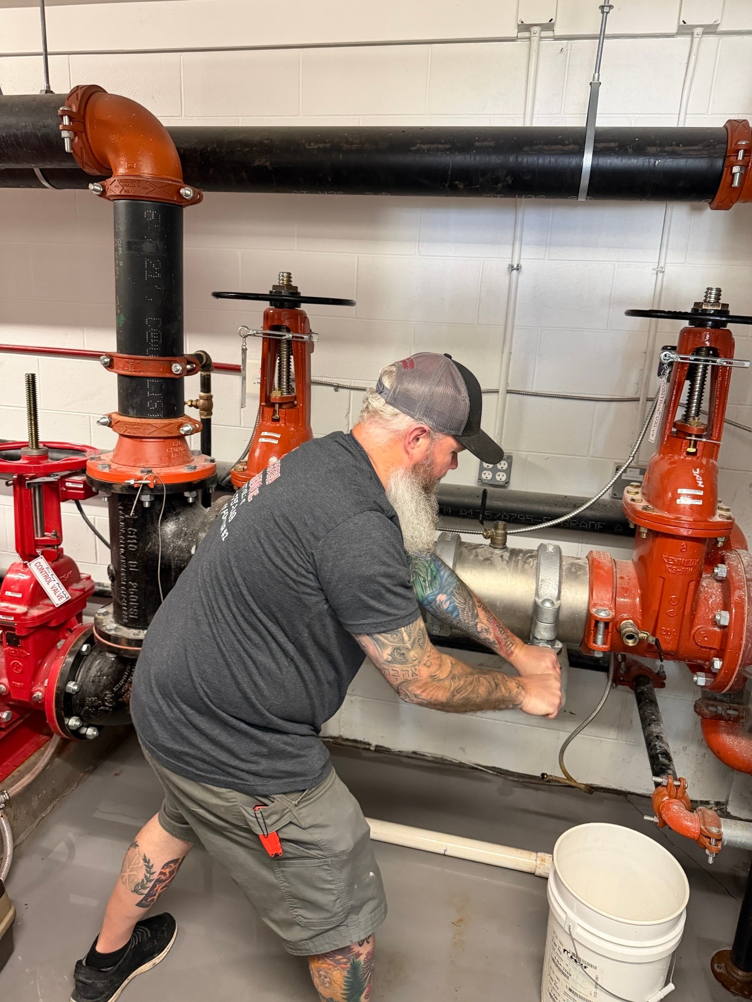Water softener and conditioning system