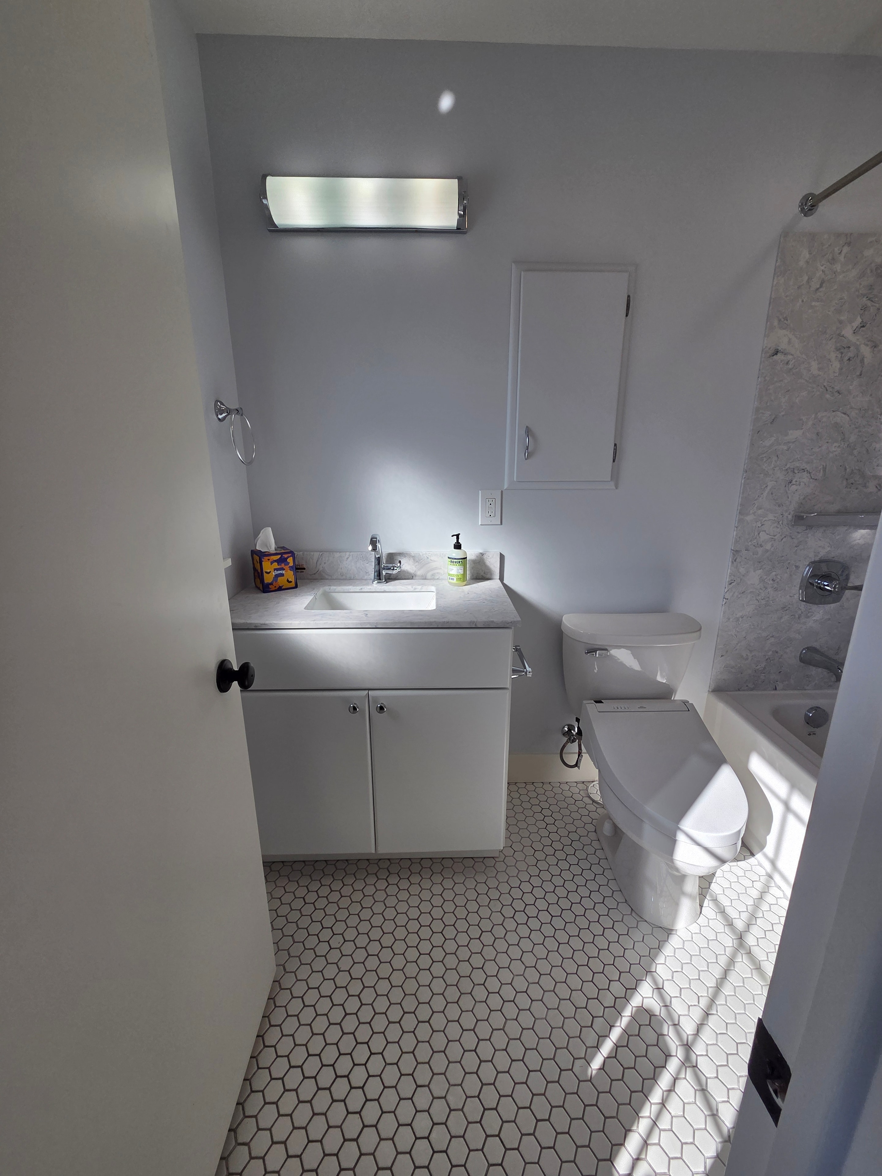 Luxury bathroom remodel with walk-in shower